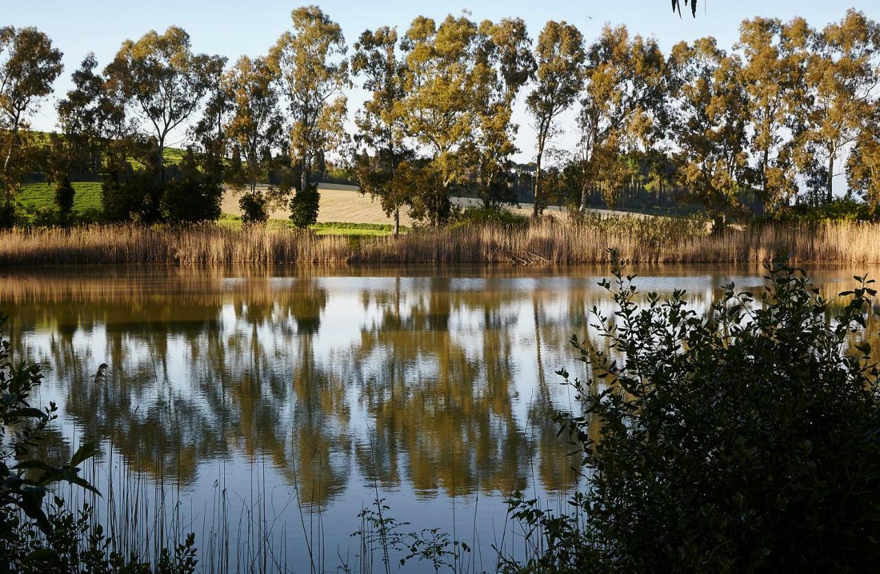Готель Agriturismo Ca Lo Spelli Guasticce Екстер'єр фото